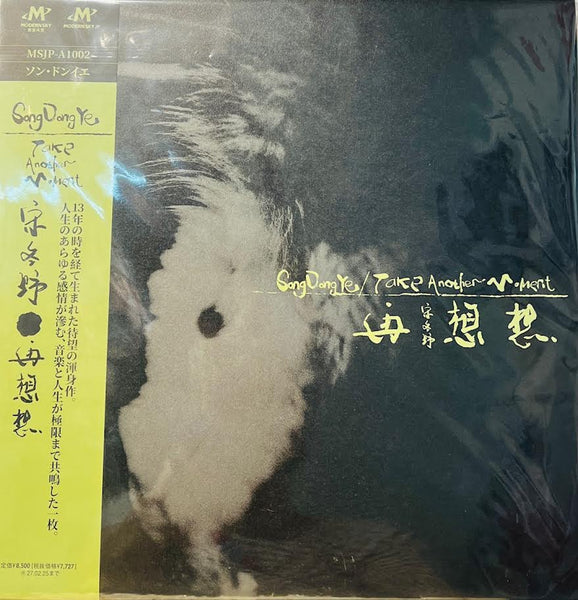 SONG DONG YE - 宋冬野 TAKE ANOTHER MOMENT  (JAPAN IMPORT VINYL) LP