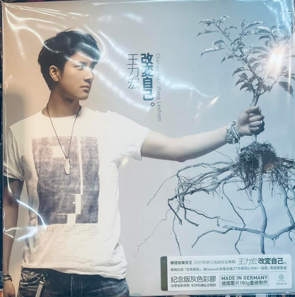 LEE HOM - 王力宏 改變自己 (GREY COLOR VINYL) LP MADE IN GERMANY