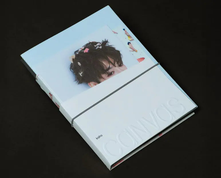 KAHO HUNG - 洪嘉豪 CANVAS CD