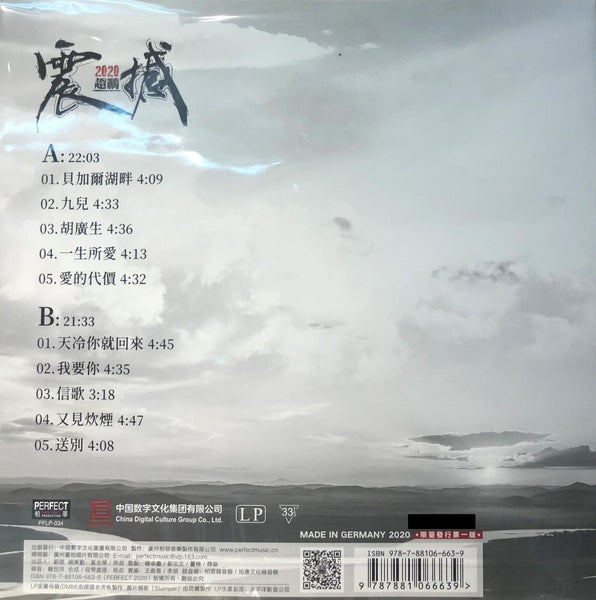 ZHAO PENG - 趙鵬 震撼 SHOCK 2020 (VINYL) MADE IN GERMANY