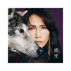 SHIZUKA KUDO - 工藤靜香 感受 35TH ANNIVERSARY (CD)