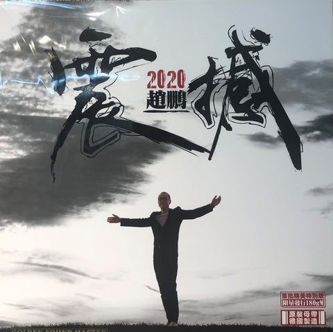ZHAO PENG - 趙鵬 震撼 SHOCK 2020 (VINYL) MADE IN GERMANY